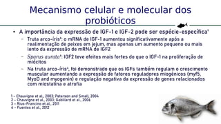 60
Mecanismo celular e molecular dos
probióticos
● A importância da expressão de IGF-1 e IGF-2 pode ser espécie-específica¹
– Truta arco-íris²: o mRNA de IGF-1 aumentou significativamente após a
realimentação de peixes em jejum, mas apenas um aumento pequeno ou mais
lento da expressão de mRNA de IGF2
– Sparus aurata³: IGF2 teve efeitos mais fortes do que o IGF-1 na proliferação de
miócitos
– Na truta arco-íris4
, foi demonstrado que os IGFs também regulam o crescimento
muscular aumentando a expressão de fatores reguladores miogênicos (myf5,
MyoD and myogenin) e regulação negativa da expressão de genes relacionados
com miostatina e atrofia
1 - Chauvigne et al., 2003; Peterson and Small, 2004
2 - Chauvigne et al., 2003; Gabillard et al., 2006
3 - Rius-Francino et al., 2011
4 - Fuentes et al., 2012
 