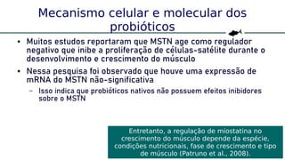61
Mecanismo celular e molecular dos
probióticos
● Muitos estudos reportaram que MSTN age como regulador
negativo que inibe a proliferação de células-satélite durante o
desenvolvimento e crescimento do músculo
● Nessa pesquisa foi observado que houve uma expressão de
mRNA do MSTN não-significativa
– Isso indica que probióticos nativos não possuem efeitos inibidores
sobre o MSTN
Entretanto, a regulação de miostatina no
crescimento do músculo depende da espécie,
condições nutricionais, fase de crescimento e tipo
de músculo (Patruno et al., 2008).
 