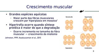 8
Crescimento muscular
● Grandes espécies aquícolas
– Maior parte das fibras musculares
crescem por hiperplasia em mosaico¹
● Hipertrofia ocorre quando síntese
protéica é maior do que a degradação
– Ocorre incremento no tamanho da fibra
muscular crescimento do miotomo→
Johnston, 1999; Asaduzzaman et al., 2013
 