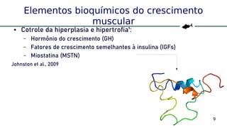 9
Elementos bioquímicos do crescimento
muscular
● Cotrole da hiperplasia e hipertrofia¹:
– Hormônio do crescimento (GH)
– Fatores de crescimento semelhantes à insulina (IGFs)
– Miostatina (MSTN)
Johnston et al., 2009
 