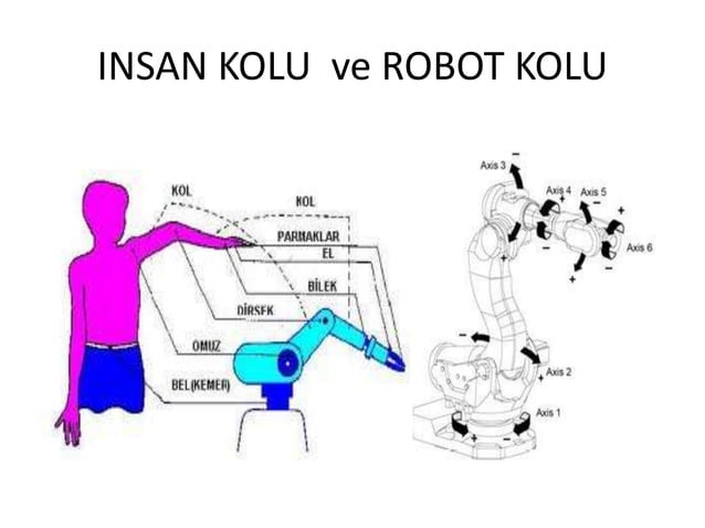 Endüstriyel Robotlar: Türleri, Kullanım Alanları ve Temel Özellikleri - Slayt 5