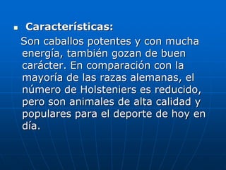  Características:  Son caballos potentes y con mucha energía, también gozan de buen carácter. En comparación con la mayoría de las razas alemanas, el número de Holsteniers es reducido, pero son animales de alta calidad y populares para el deporte de hoy en día.
