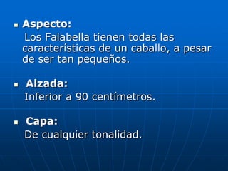 Aspecto:   Los Falabella tienen todas las características de un caballo, a pesar de ser tan pequeños. Alzada:   Inferior a 90 centímetros. Capa:   De cualquier tonalidad.