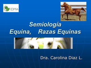 Semiología Equina,    Razas Equinas Dra. Carolina Diaz L. 