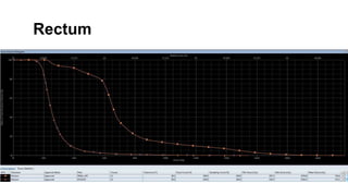 Rectum
 