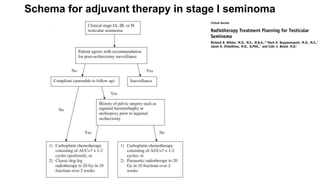 Schema for adjuvant therapy in stage I seminoma
 