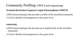 Community Profiling (TRFLP and sequencing)
Terminal Restriction Fragment Length Polymorphisms (TRFLP)
DNA based technique that provides a profile of the microbial community
Used to identify microorganisms to the genus level.
sequencing
DNA based technique that provides an in depth profile of the microbial
community
Used to identify microorganisms to the genus level.
 