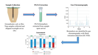 Sample Collection
Groundwater, soil, or Bio-
Trap samples collected and
shipped overnight on ice
(4c)
PLFA biomarkers
extracted from sample
upon arrival
PLFA Extraction Gas Chromatography
Assessment
Biomarkers are identified by gas
chromatography with flame
ionization detection (GC-FID)
 