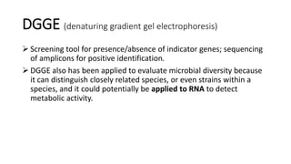 DGGE (denaturing gradient gel electrophoresis)
 Screening tool for presence/absence of indicator genes; sequencing
of amplicons for positive identification.
 DGGE also has been applied to evaluate microbial diversity because
it can distinguish closely related species, or even strains within a
species, and it could potentially be applied to RNA to detect
metabolic activity.
 