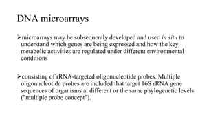 DNA microarrays
microarrays may be subsequently developed and used in situ to
understand which genes are being expressed and how the key
metabolic activities are regulated under different environmental
conditions
consisting of rRNA-targeted oligonucleotide probes. Multiple
oligonucleotide probes are included that target 16S rRNA gene
sequences of organisms at different or the same phylogenetic levels
("multiple probe concept").
 