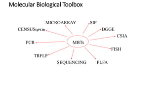 Molecular Biological Toolbox
MICROARRAY SIP
CENSUS(qPCR) DGGE
CSIA
PCR MBTs
FISH
TRFLP
SEQUENCING PLFA
 
