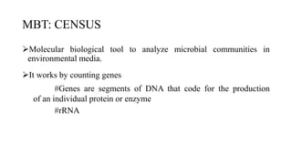 MBT: CENSUS
Molecular biological tool to analyze microbial communities in
environmental media.
It works by counting genes
#Genes are segments of DNA that code for the production
of an individual protein or enzyme
#rRNA
 