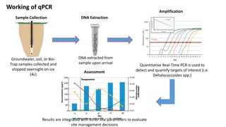 Sample Collection
Groundwater, soil, or Bio-
Trap samples collected and
shipped overnight on ice
(4c)
DNA extracted from
sample upon arrival
Quantitative Real-Time PCR is used to
detect and quantify targets of interest (i.e.
Dehalococcoides spp.)
Results are integrated with other site parameters to evaluate
site management decisions
DNA Extraction
Amplification
Assessment
Working of qPCR
 