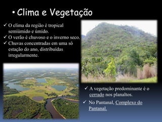 • Clima e Vegetação
 O clima da região é tropical
  semiúmido e úmido.
 O verão é chuvoso e o inverno seco.
 Chuvas concentradas em uma só
  estação do ano, distribuídas
  irregularmente.




                                         A vegetação predominante é o
                                          cerrado nos planaltos.
                                         No Pantanal, Complexo do
                                          Pantanal.
 