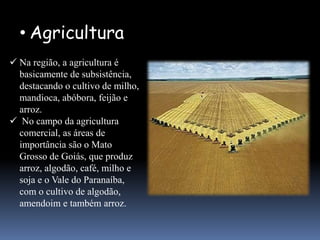 • Agricultura
 Na região, a agricultura é
  basicamente de subsistência,
  destacando o cultivo de milho,
  mandioca, abóbora, feijão e
  arroz.
 No campo da agricultura
  comercial, as áreas de
  importância são o Mato
  Grosso de Goiás, que produz
  arroz, algodão, café, milho e
  soja e o Vale do Paranaíba,
  com o cultivo de algodão,
  amendoim e também arroz.
 