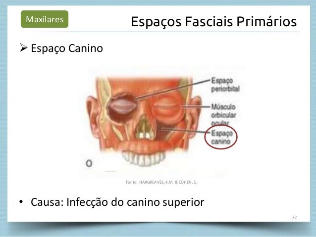propaga-o-das-infec-es-dent-rias