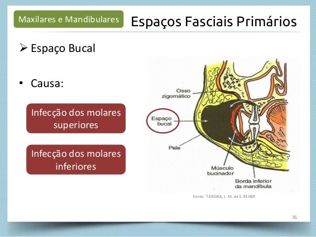 propaga-o-das-infec-es-dent-rias
