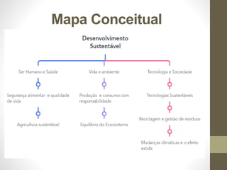 Mapa Conceitual
 