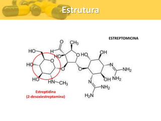Estrutura

                                ESTREPTOMICINA




     Estreptidina
(2-desoxiestreptamina)
 