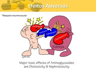 Efeitos Adversos
*Bloqueio neuromuscular
 