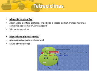 Tetraciclinas

• Mecanismo de ação:
•   Agem sobre a síntese proteica, impedindo a ligação do RNA transportador ao
    complexo ribossoma-RNA mensageiro.
•   São bacteriostáticas.


• Mecanismo de resistência:
•   Alterações da estrutura ribossomal
•   Efluxo ativo da droga
 