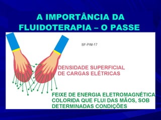 A IMPORTÂNCIA DA
FLUIDOTERAPIA – O PASSE
 