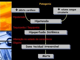 Patogenia
 débito cardíaco  volume sangue
circulante
Hipoperfusão Sistêmica
Hipotensão
Dano tecidual irreversível
Morte
Taquicardia / Taquipnéia
Hipotensão
Oligúria
Alteração no estado de consciência
 