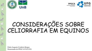CONSIDERAÇÕES SOBRE
CELIORRAFIA EM EQUINOS
Pedro Augusto Cordeiro Borges
Doutorando do PPGCA EVZ/UFG
 