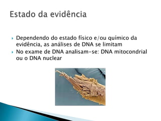    Dependendo do estado físico e/ou químico da
    evidência, as análises de DNA se limitam
   No exame de DNA analisam-se: DNA mitocondrial
    ou o DNA nuclear
 