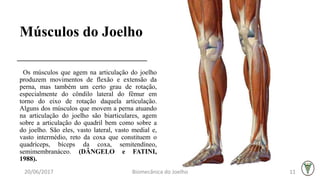 Músculos do Joelho
Os músculos que agem na articulação do joelho
produzem movimentos de flexão e extensão da
perna, mas também um certo grau de rotação,
especialmente do côndilo lateral do fêmur em
torno do eixo de rotação daquela articulação.
Alguns dos músculos que movem a perna atuando
na articulação do joelho são biarticulares, agem
sobre a articulação do quadril bem como sobre a
do joelho. São eles, vasto lateral, vasto medial e,
vasto intermédio, reto da coxa que constituem o
quadríceps, bíceps da coxa, semitendíneo,
semimembranáceo. (DÂNGELO e FATINI,
1988).
20/06/2017 Biomecânica do Joelho 11
 