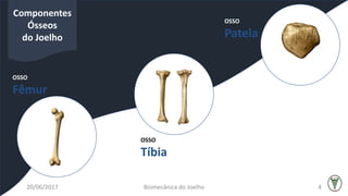 OSSO
Fêmur
OSSO
Patela
OSSO
Tíbia
Componentes
Ósseos
do Joelho
20/06/2017 Biomecânica do Joelho 4
 