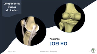 Anatomia
JOELHO
Componentes
Ósseos
do Joelho
20/06/2017 Biomecânica do Joelho 5
 