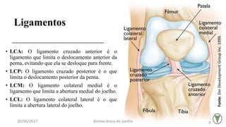 Ligamentos
• LCA: O ligamento cruzado anterior é o
ligamento que limita o deslocamento anterior da
perna, evitando que ela se desloque para frente.
• LCP: O ligamento cruzado posterior é o que
limita o deslocamento posterior da perna.
• LCM: O ligamento colateral medial é o
ligamento que limita a abertura medial do joelho.
• LCL: O ligamento colateral lateral é o que
limita a abertura lateral do joelho.
Fonte:DxrDevelopmentGroupInc.1999.
20/06/2017 Biomecânica do Joelho 9
 