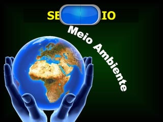 SEMINÁRIO Meio Ambiente 