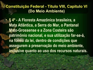 Constituição Federal - Título VIII, Capítulo VI (Do Meio Ambiente) § 4º -   A Floresta Amazônica brasileira, a  Mata Atlântica, a Serra do Mar, o Pantanal Mato-Grossense e a Zona Costeira são patrimônio nacional, e sua utilização far-se-á, na forma da lei, dentro de condições que assegurem a preservação do meio ambiente, inclusive quanto ao uso dos recursos naturais.  