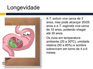 Longevidade
 A T. solium vive cerca de 3
anos, mas pode alcançar 20/25
anos e a T. saginata vive cerca
de 10 anos, podendo chegar
até 30 anos.
 Os ovos em temperatura
ambiente (20 a 30ºC), umidade
relativa (50 a 80%) e sombra
sobrevivem em torno de 4 a 6
meses.
 