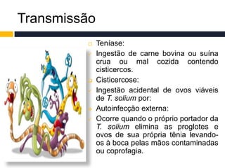 Transmissão
 Teníase:
 Ingestão de carne bovina ou suína
crua ou mal cozida contendo
cisticercos.
 Cisticercose:
 Ingestão acidental de ovos viáveis
de T. solium por:
 Autoinfecção externa:
 Ocorre quando o próprio portador da
T. solium elimina as proglotes e
ovos de sua própria tênia levando-
os à boca pelas mãos contaminadas
ou coprofagia.
 