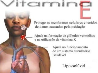 Lipossolúvel
 