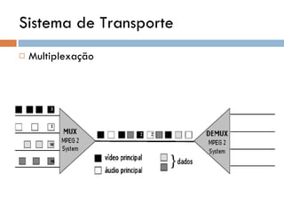 Sistema de Transporte Multiplexação 