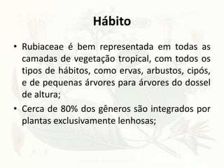 Hábito
• Rubiaceae é bem representada em todas as
camadas de vegetação tropical, com todos os
tipos de hábitos, como ervas, arbustos, cipós,
e de pequenas árvores para árvores do dossel
de altura;
• Cerca de 80% dos gêneros são integrados por
plantas exclusivamente lenhosas;
 