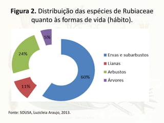 Figura 2. Distribuição das espécies de Rubiaceae
quanto às formas de vida (hábito).
Fonte: SOUSA, Luzicleia Araujo, 2013.
 