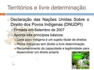 Territórios e livre determinação
 Declaração das Nações Unidas Sobre o
Direito dos Povos Indígenas (DNUDPI)
 Firmada em Setembro de 2007
 Aponta três princípios básicos:
 Cada povo Indígena é um sujeito titular de direitos
 Povos indígenas tem direito a livre determinação
 Reconhecimento da capacidade e legitimidade para
desenvolver um direito próprio
 