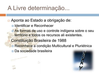 A Livre determinação...
 Aponta ao Estado a obrigação de:
 Identificar e Reconhecer
 As formas de uso e controle indígena sobre o seu
território e todos os recursos ali existentes.
 Constituição Brasileira de 1988
 Reconhece a condição Multicultural e Pluriétnica
 Da sociedade brasileira
 