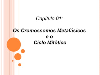 Capítulo 01: Os Cromossomos Metafásicos e o  Ciclo Mitótico 