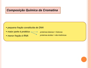  variação entre indivíduos da mesma espécie