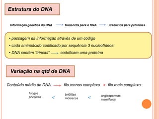  IdiogramaRepresentação: