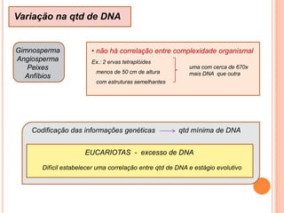 Cariograma: fotografia de uma metáfase