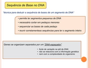  homólogos emparelhados e enumeradosIdiograma: representação esquemática  do cariótipo