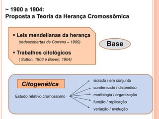  Capaz de formar novos núcleos por divisão