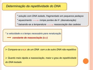  conj. haplóide  Cariograma humanoIdiograma de algumas espécies do gênero Briza (gramínea)